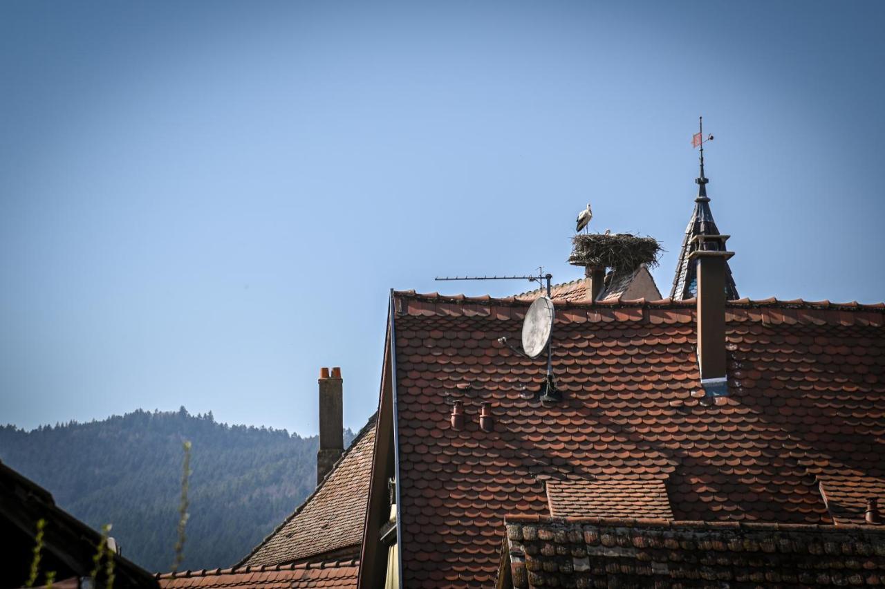 Le Hameau D'Eguisheim - Chambres D'Hotes & Gites Εξωτερικό φωτογραφία